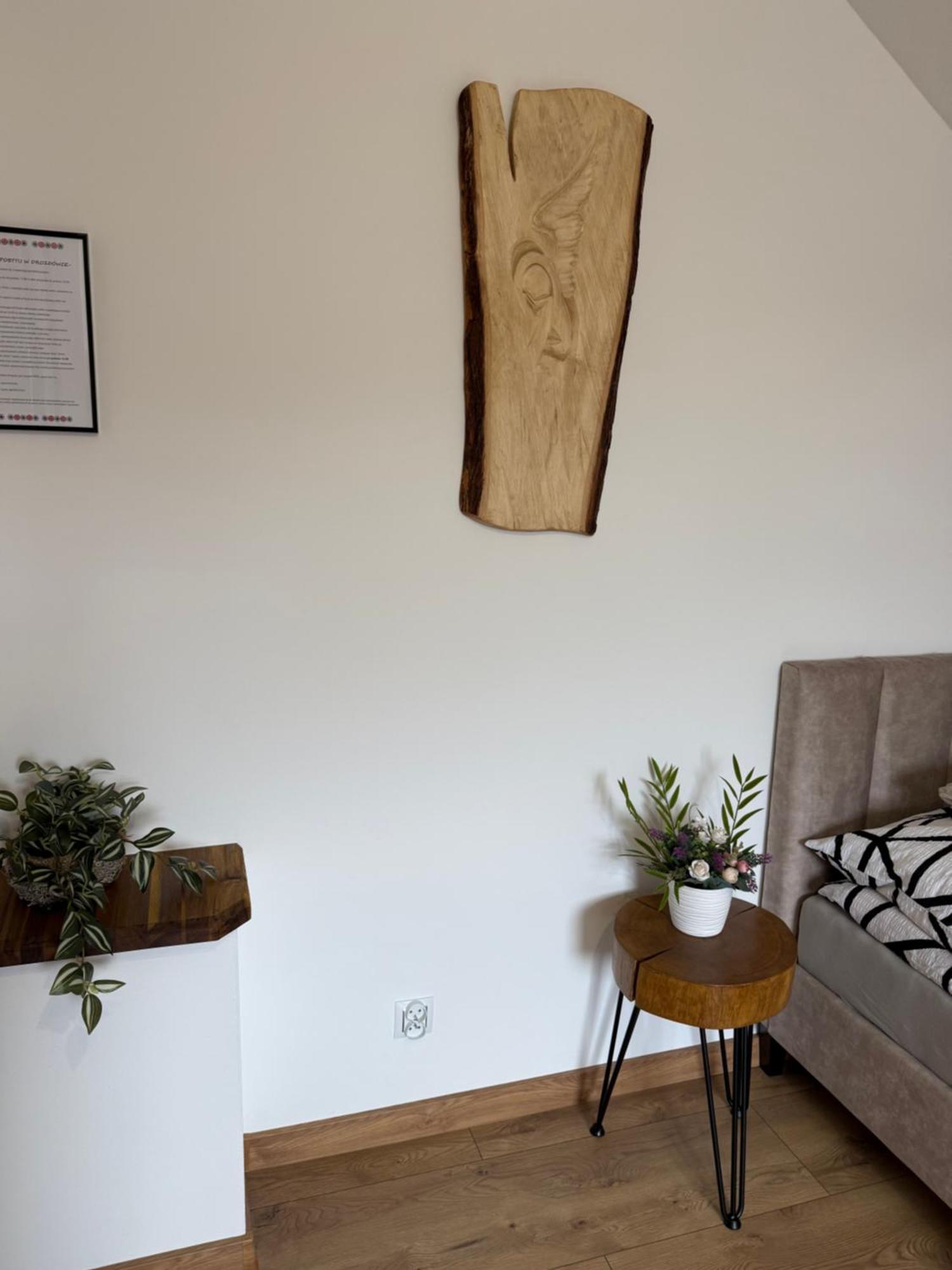 Apartament Z Tarasem I Pokoje Klimatyzowane -Drozdowka Solina Solina  Eksteriør bilde